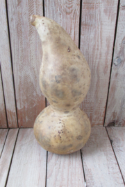 Gedroogde fleskalebas 27x12cm (nr47)