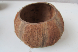 Kokosnoot 15 cm (W30)