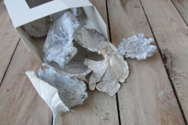 Mushrooms wit 15 gram (D243)