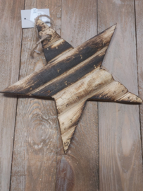 Ster 23 cm (nr48)