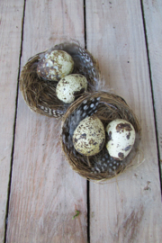 Nestje 2 eitjes 2 stuks (D208)