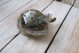 Vogeltje op nestje