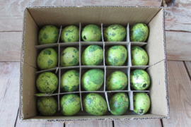 Kievit eitjes 40 stuks groen (pasen nr 14)
