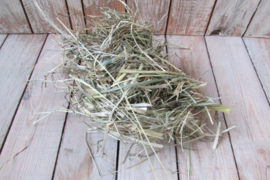 Hooi voor het lentekooitje