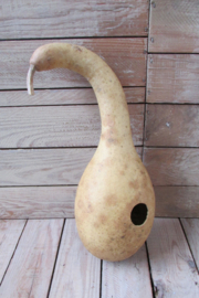 Gedroogde 30x12 cm kalebas (nr 10)