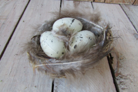 Nestje met 3 eitjes (D211)