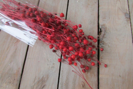 deco takjes rood (nr 133)