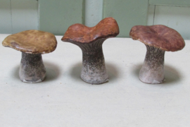 Paddenstoelen naturel 6 cm (3 stuks)