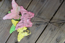 Vlinder van schors assortie per 4