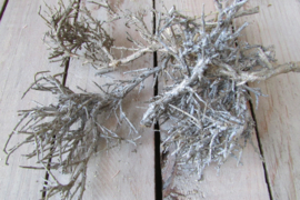 Takjes zilver/naturel (D225)