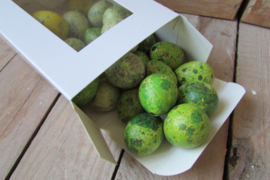 kievits eitjes 25 stuks  groen/geel tinten