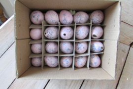 Kievit eitjes 40 stuks roze (pasen nr 14)