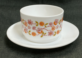 scania groot kopje( recht oor) en ondertas