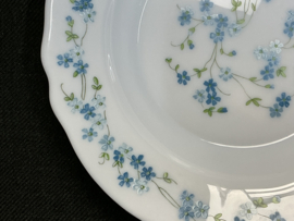 Veronica  , diep soep bord