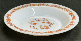 scania , diep soep bord