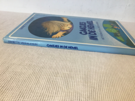 Gaatjes in de hemel, heel mooie staat