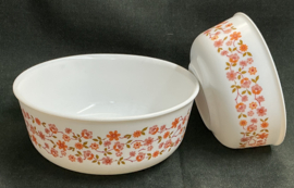 scania, kommen set , 2 stuks, afronde rand