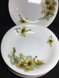 Gele bloem , Margriet  diep bord