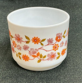 scania kopje( recht oor)