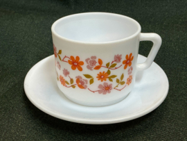 scania kopje( recht oor) en ondertas