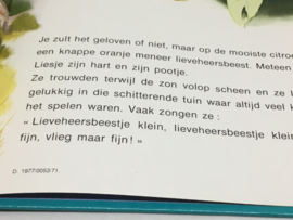 liesje, het lieveheersbeestje*