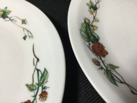 Lot van 5 dessert borden