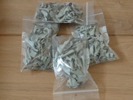 Salie 10 grams zakjes