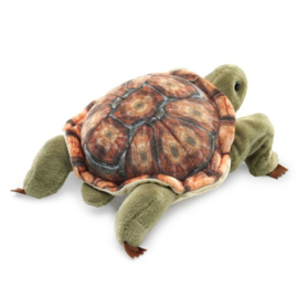 2778 Mini schildpad