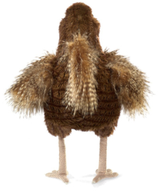 Hen