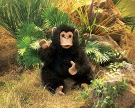Baby chimpansee