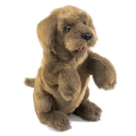 Zittende hond