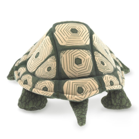 Gevlekte schildpad