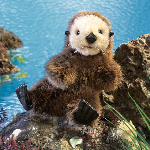 baby otter