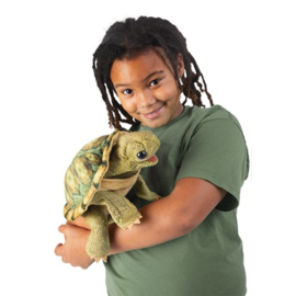 schildpad