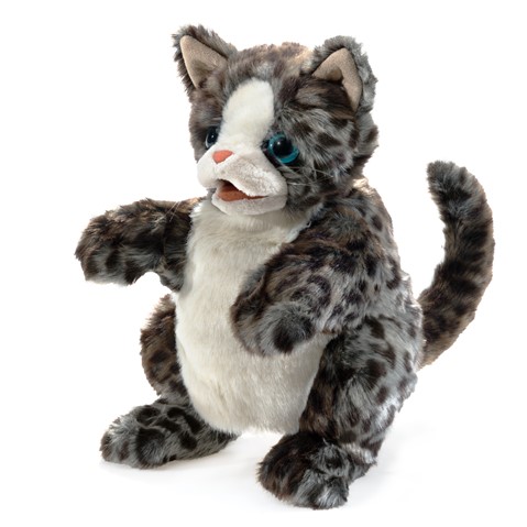 Wilde kat