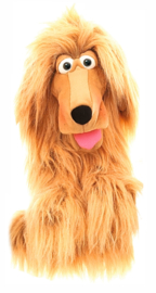 Lulu de sjieke hond