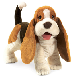 Basset hond