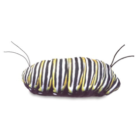 Levenscyclus van een vlinder