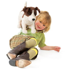 Jack Russell Terrier