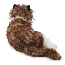 Lapjes kat