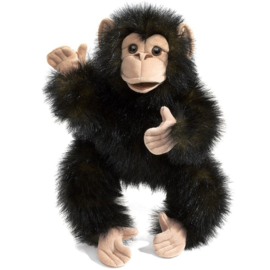 2877 Baby chimpansee