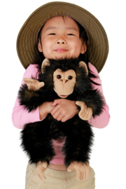 Baby chimpansee