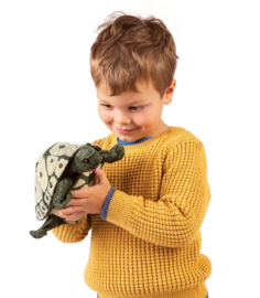Gevlekte schildpad