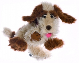 Tillie de hond