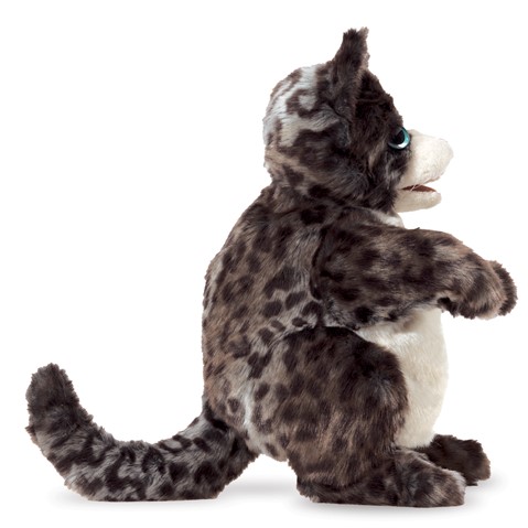 Wilde kat