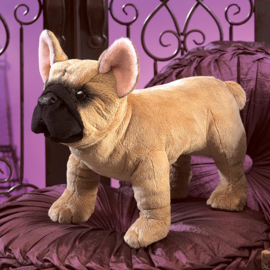 Franse Bulldog