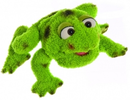 Kleine Rolf de kikker