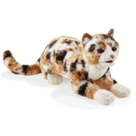 Gevlekte kat handpop