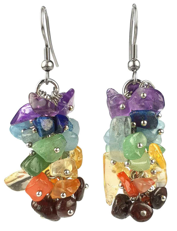 klif binnenkomst marketing Edelstenen oorbellen Gemstone Rainbow | Edelstenen oorbellen | Zhen Zhu  zoetwater parel sieraden