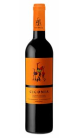 Ciconia Tinto